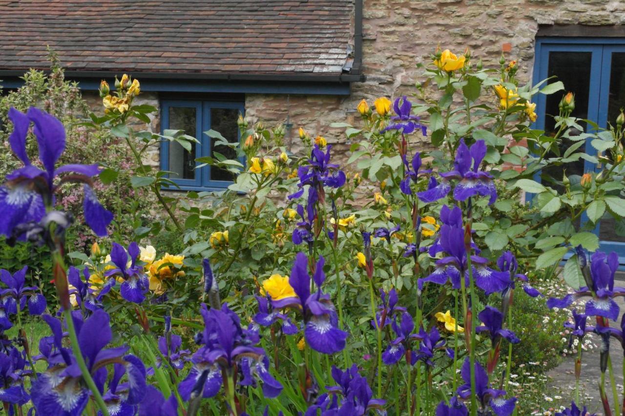 Prospect Barn Hereford Exterior foto
